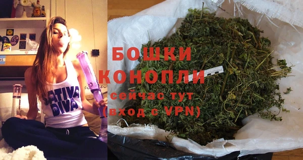 индика Анжеро-Судженск