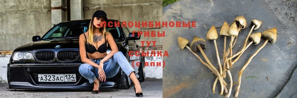 соль ск Горно-Алтайск